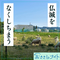 Podcast版　2026/6/27 第201回