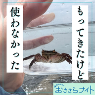 ＜ＯＡ＞２０２５年１０月４日放送