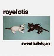 sweet hallelujah / royel otis