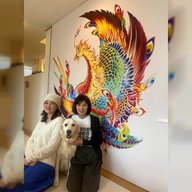 書家・芸術家の 紫舟 さんのアトリエからオンエア！「書」について、心が整うお話を伺います。さらに愛犬との暮らしについて伺います。