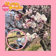 ep.95【小石川後楽園「梅香る庭園へ」】に行ってミホ！ 2026/2/26（木）オンエア