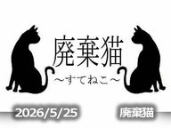 5月25日配信「廃棄猫～すてねこ～」