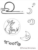 2月28日からの東京の星空情報☆彡