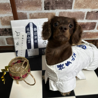 #78　わんだふるおぢさんが登場！来週に迫った「DOG EXPO FUKUOKA 2026」について！