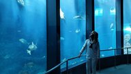 #46：カリブのAQUARIUM PICKS🪼  Winter ver