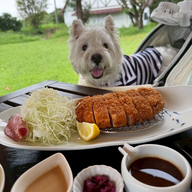 #43　わんだふるおぢさん登場！今後の「DOG JAM」の紹介、イベントの発表も！