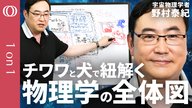 【数ある「〇〇理論」を整理する】宇宙物理学者・野村泰紀が解説する物理学の全体図／チワワと犬で紐解く「相対論・量子力学・場の量子論・超弦理論・ゲージ理論・標準模型・大統一理論・量子重力」【1on1】