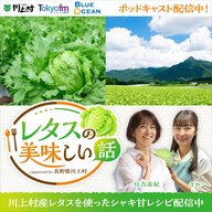 レタスのおいしい話 supported by 長野県川上村