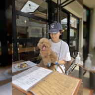 「テコとmapi」拡大版🐩愛犬と🐕昼も夜もお出かけしたくなる イチオシのスポットをご紹介