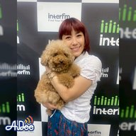 動物が好き、犬が好き♡IMALUさんと朝みみ！トーク　「ぬいぐるみに、本物のリードを買ってもらった。私の夢🐶宝物。」