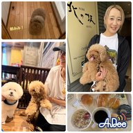 🐶番組犬テコとまっぴー　この夏おすすめスポット《兵庫＆神戸編》