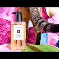 陰陽座 黒猫のねこまんまRADIO 第16夜